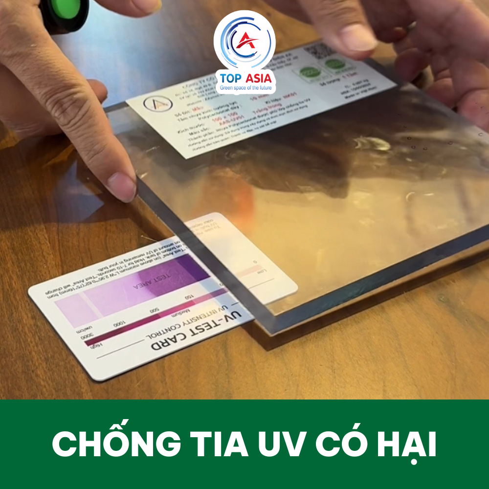 Tấm Poly Đặc Lấy Sáng Khu Vực Tân Bình Đủ Màu Đẹp, Bền